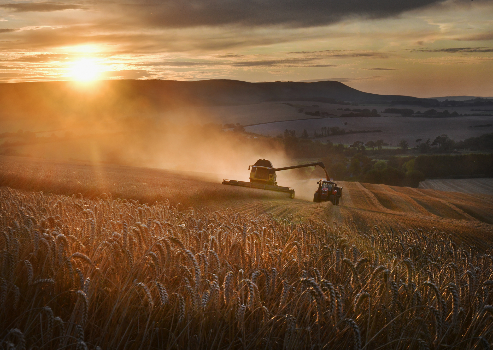 Trade can alleviate the looming food crisis