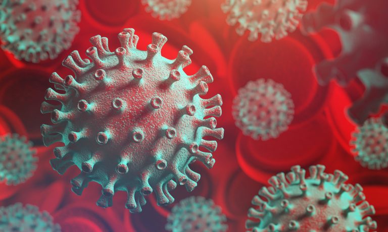 China identifies first case of H10N3 bird flu