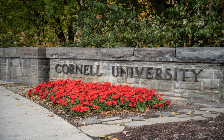 Cornell pressured to upend DEI policies on eve of ‘free speech’ year