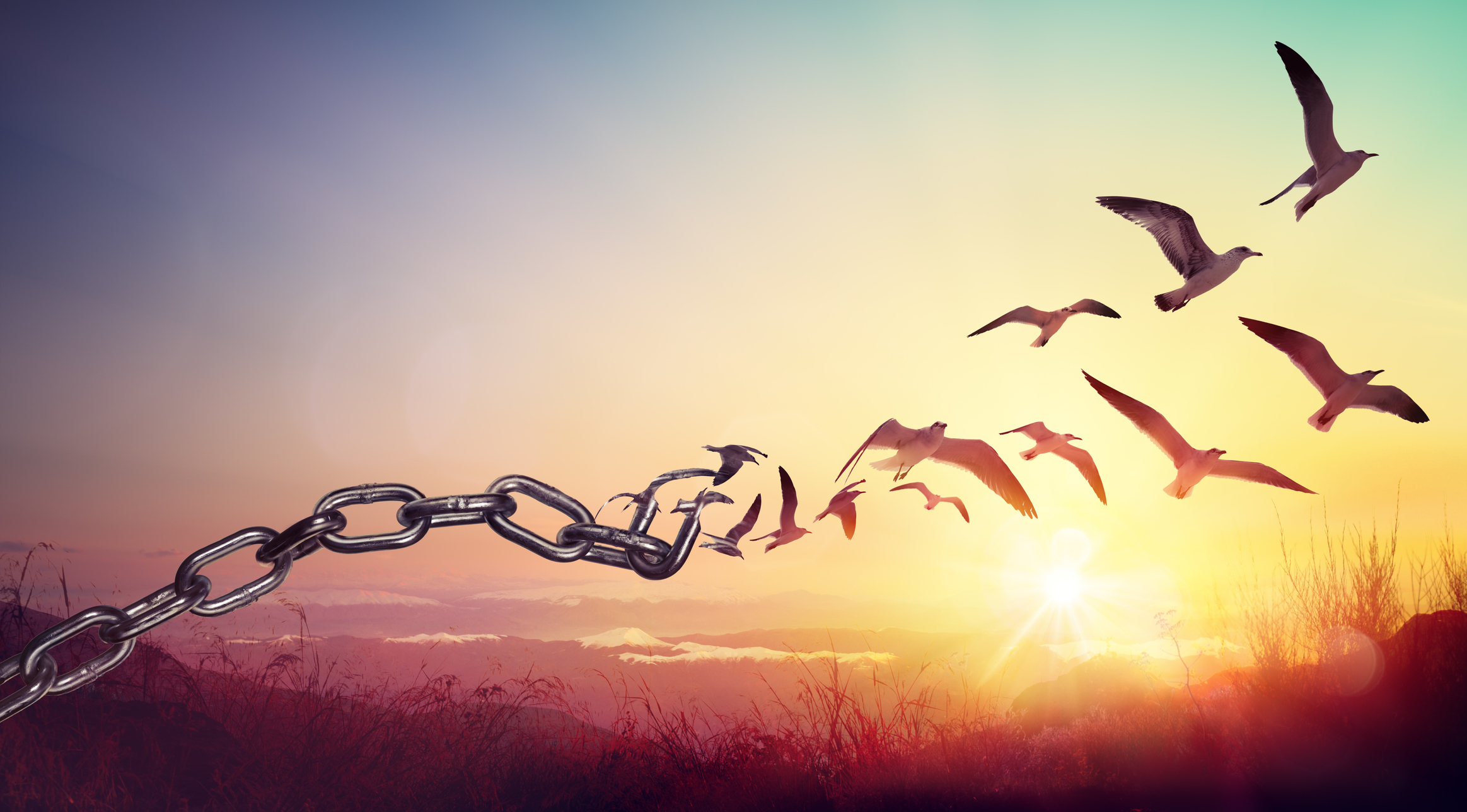 Shackles of liberty