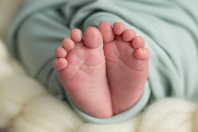 Building a culture of life