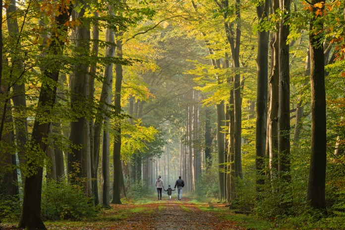 Childless adults aren’t saving Mother Nature
