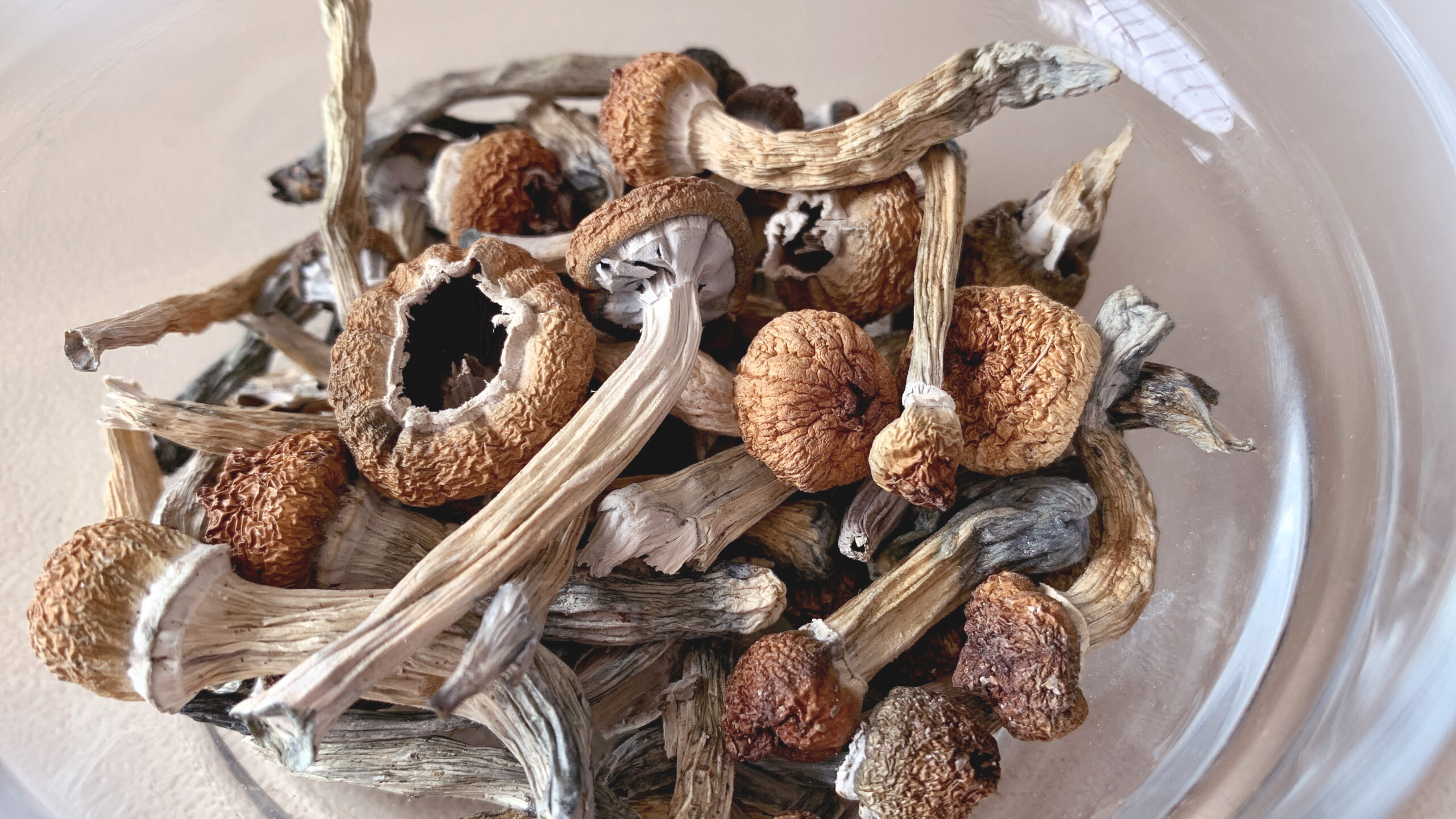 Psychedelics show promise in treating clinical depression: Study