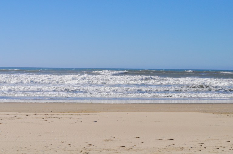 WATCH: Humanoid ‘aliens’ wash up on Australian beaches, baffling local residents