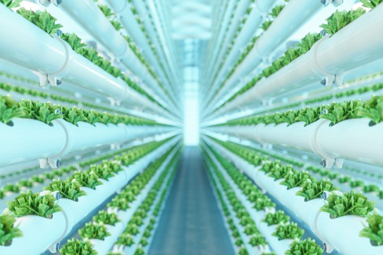 Virginia to have world’s largest indoor vertical farming facility
