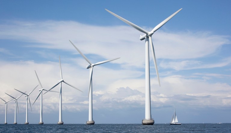 SEC adopts ‘greenwashing’ rule for ESG and growth funds