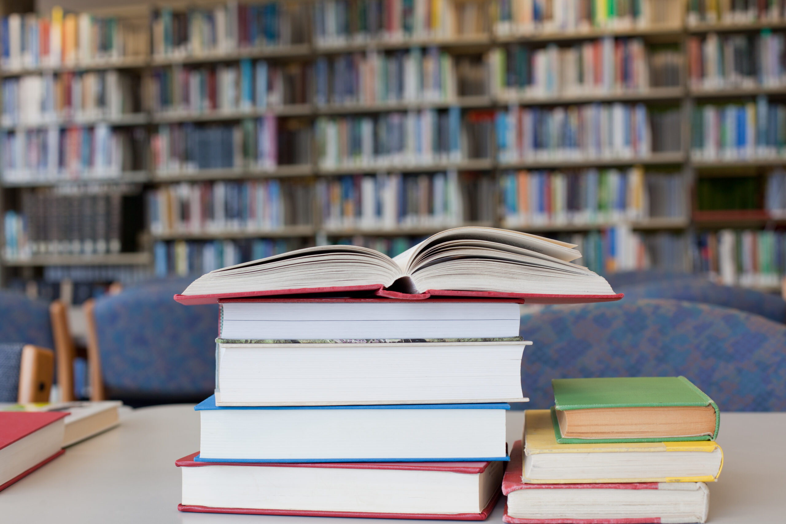 New novel uses multiple voices to talk ‘banned books,’ blasting liberals