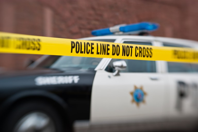 Man charged with 600 counts of sexual assault and incest with a child
