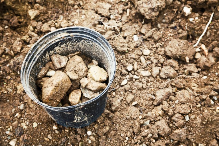 Pennsylvania school district arming students with rocks to fight school shooters