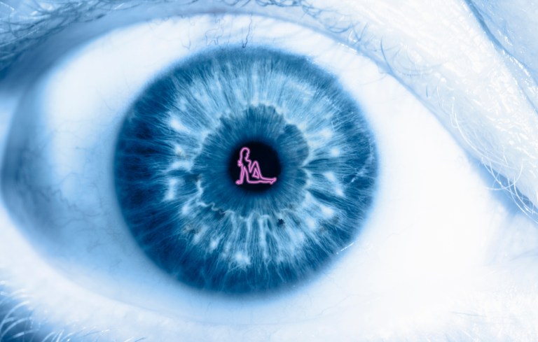 Pornography restriction for realists