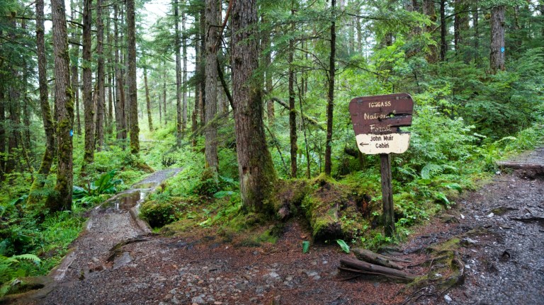 Use nature to fight climate change