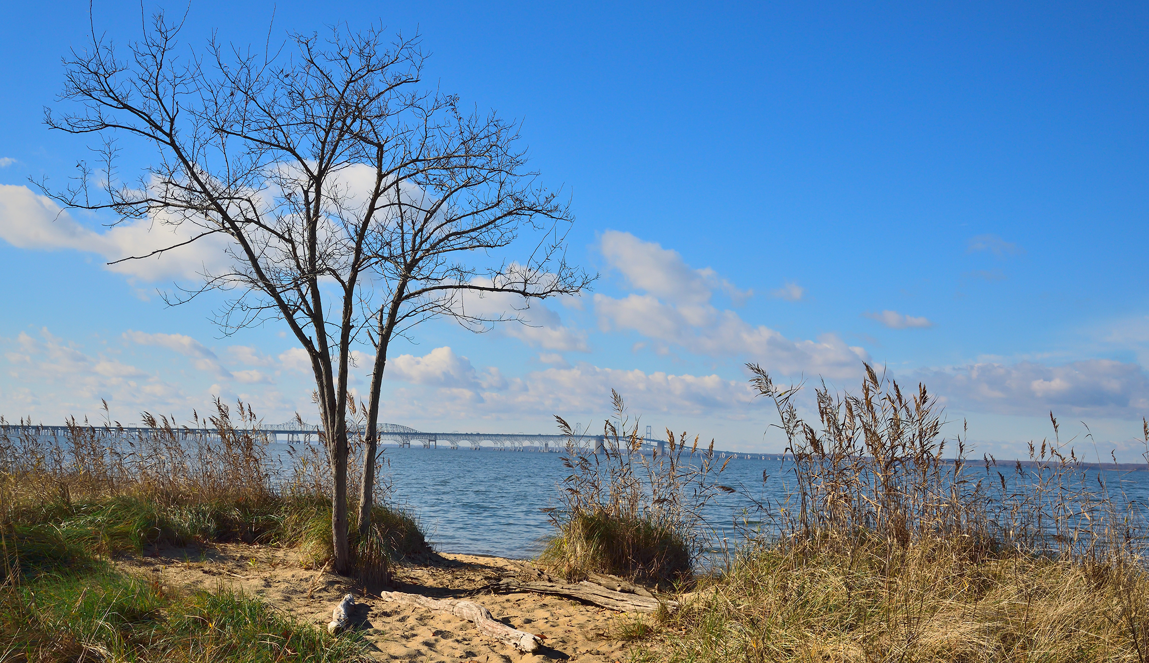 The EPA will keep funding the Chesapeake Bay Journal. Should it?