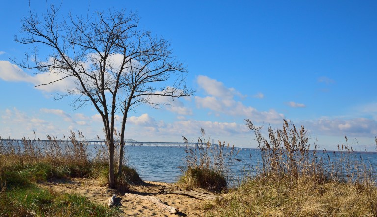 The EPA will keep funding the Chesapeake Bay Journal. Should it?