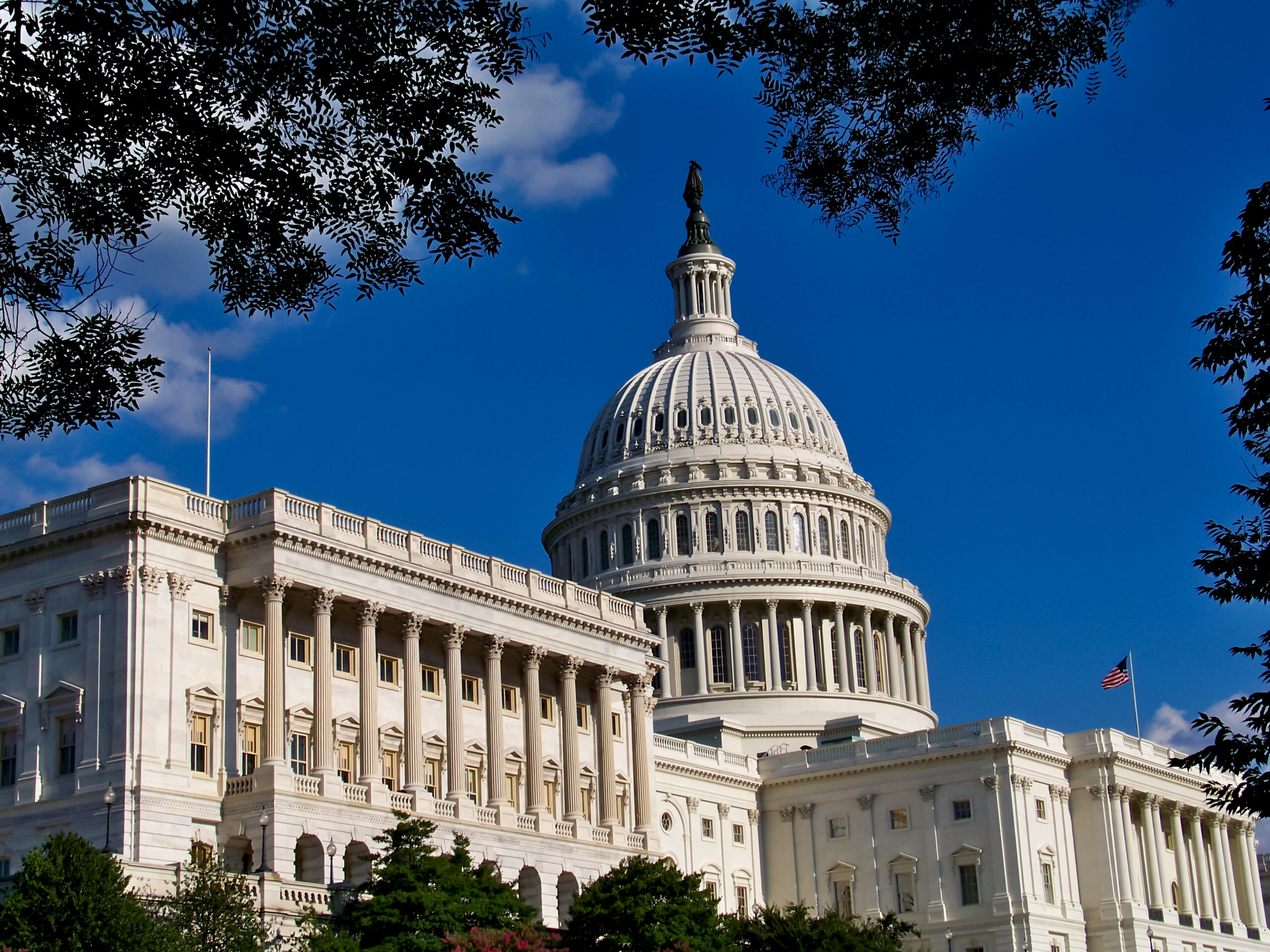 Senate votes to ignore the Constitution and continue unauthorized war in Yemen