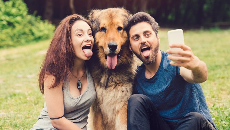 Instagram is an oasis in the social media wasteland — for now