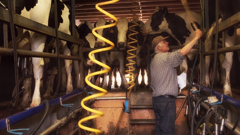 Task force issues recommendations as Vermont’s dairy industry struggles