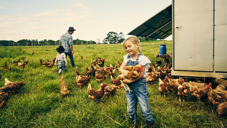 Agriculture industry in the dark on Trump’s plan to protect farmers from trade war