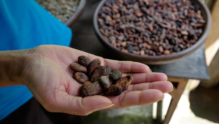 Supreme Court questions claims made against Nestle and Cargill in child labor case