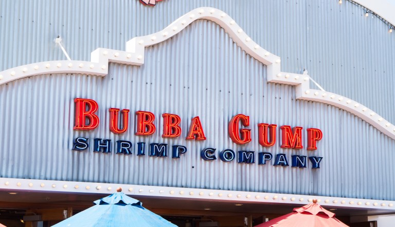 Winston Groom, historian and author of Forrest Gump, lived large