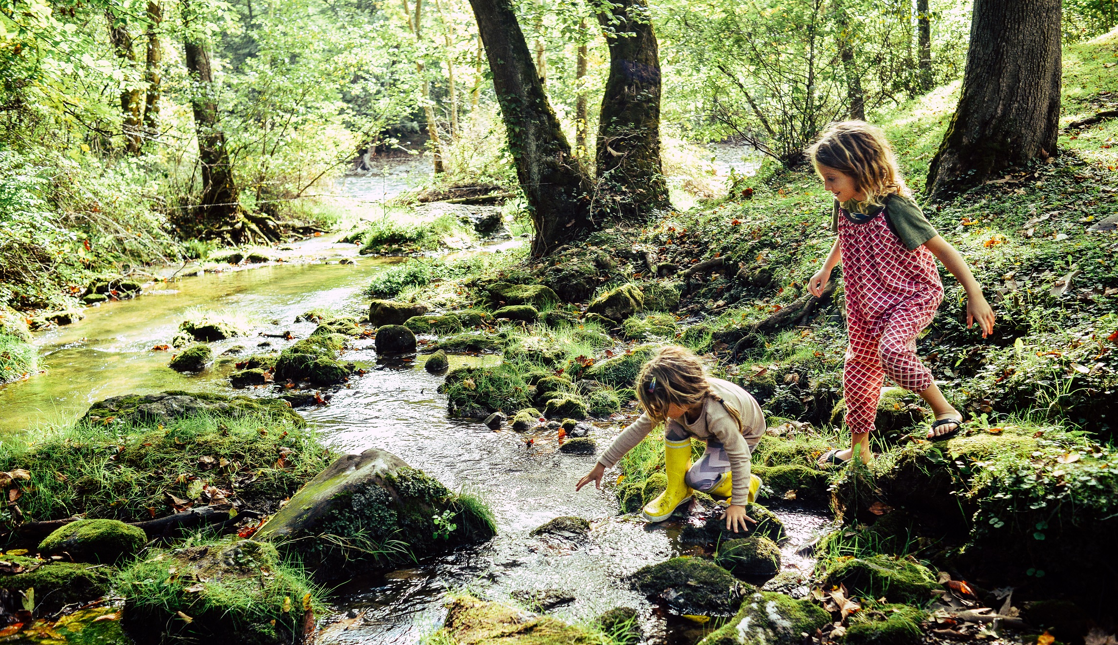 Streamlining environmental regulations doesn’t have to endanger the environment