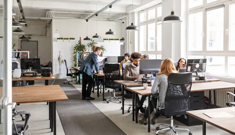 Men and women work in an office.