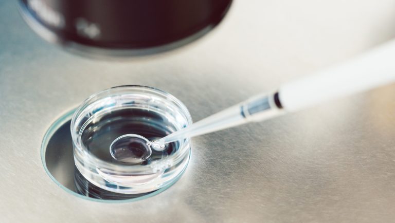 13 states move forward with legislation that would determine if embryos are people