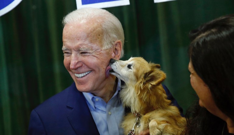 Biden parodies Bloomberg memes in video featuring Obama criticism