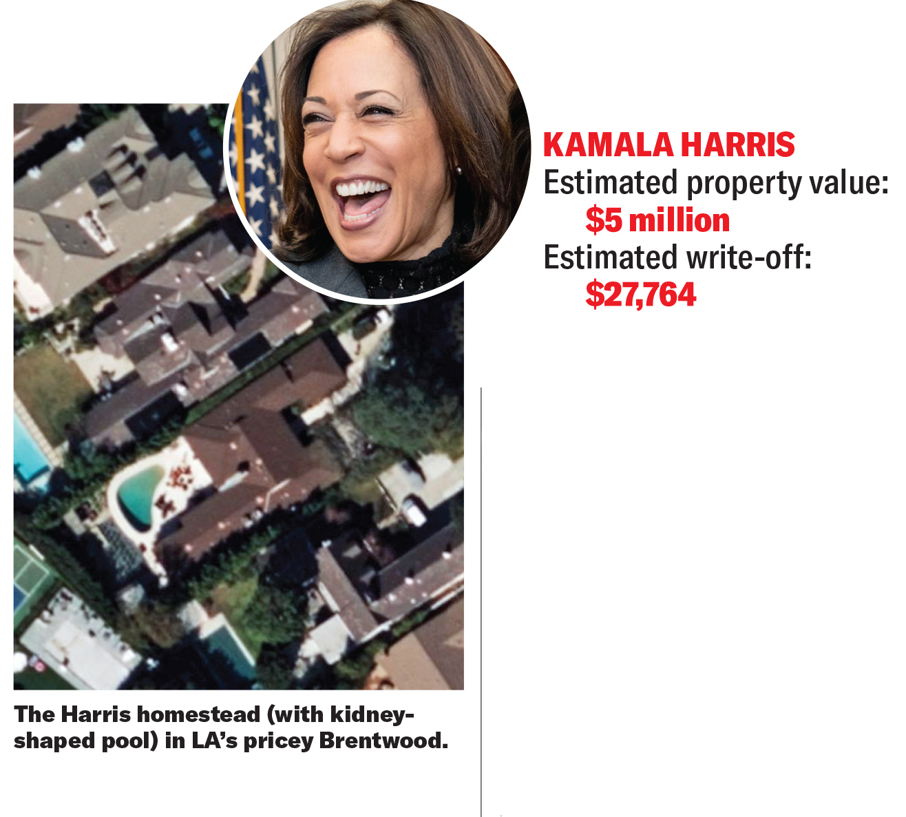 kamala.jpg