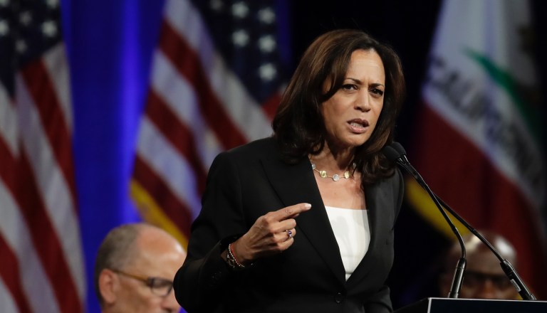 Democratic presidential candidate Sen. Kamala Harris, D-Calif., gestures while speaking at the Democratic National Committee's summer meeting Friday, Aug. 23, 2019, in San Francisco. 