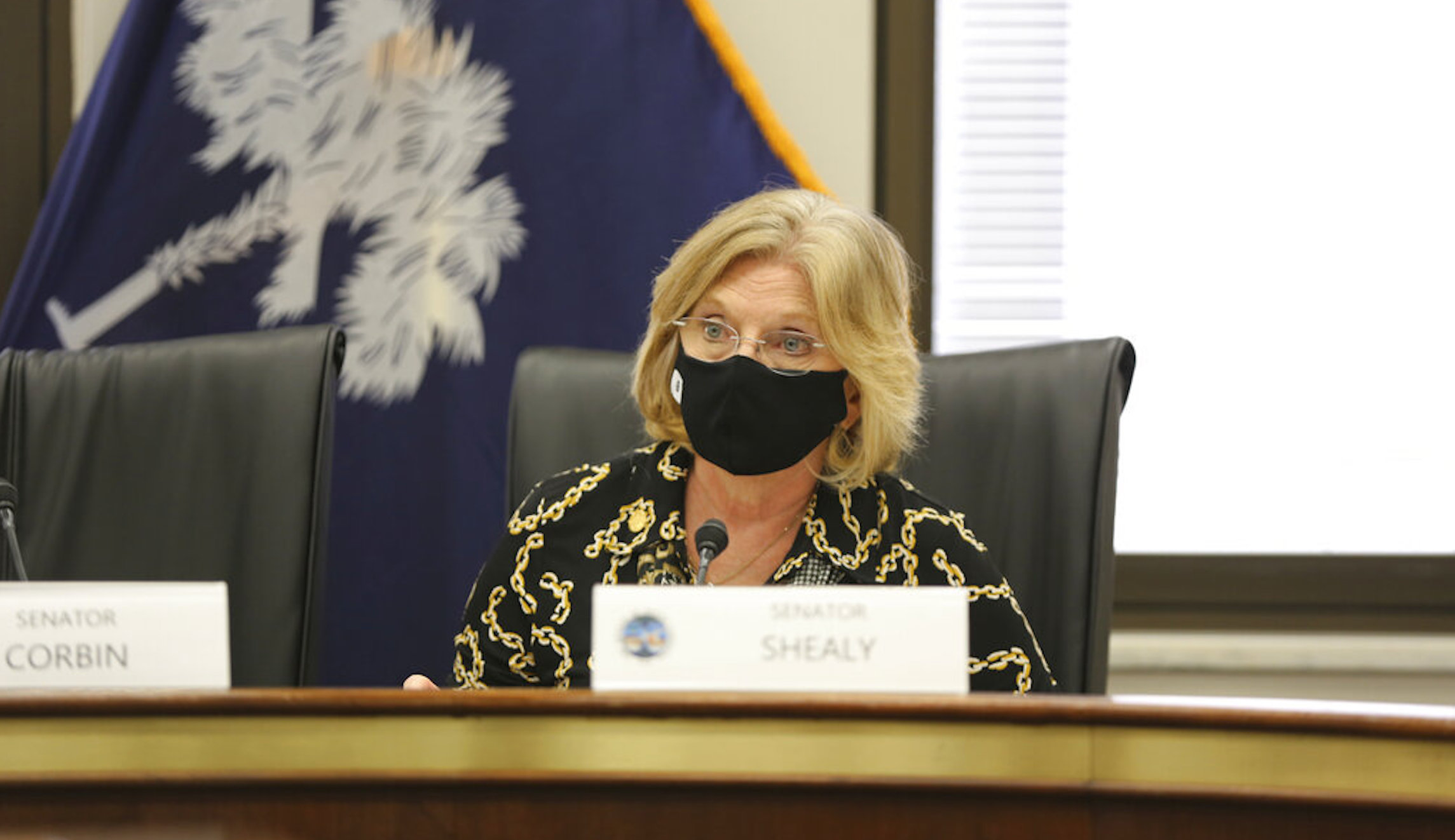 ‘What are we looking for?’: GOP state senator questions party’s calls for audit in county Trump won handily