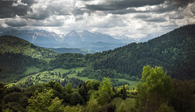 Revisiting Poland in Aharon Appelfeld’s fiction