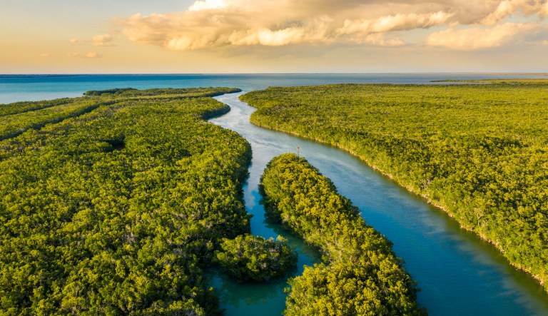 Dave Barry loves Florida enough to skewer it right
