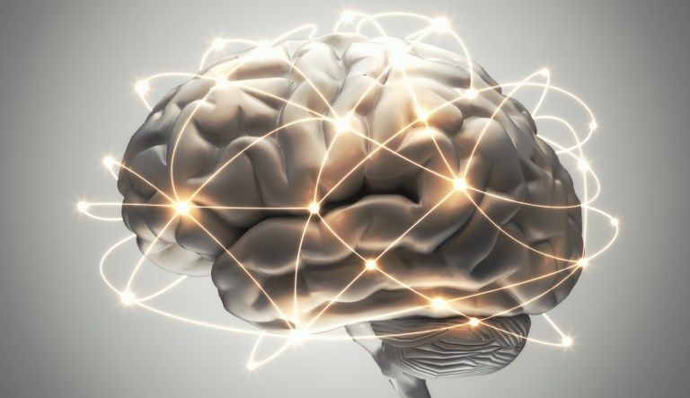 Paul Bloom’s journey through the mind