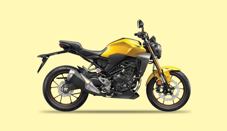 Born to be mild: As the motorbikes go, so goes the culture