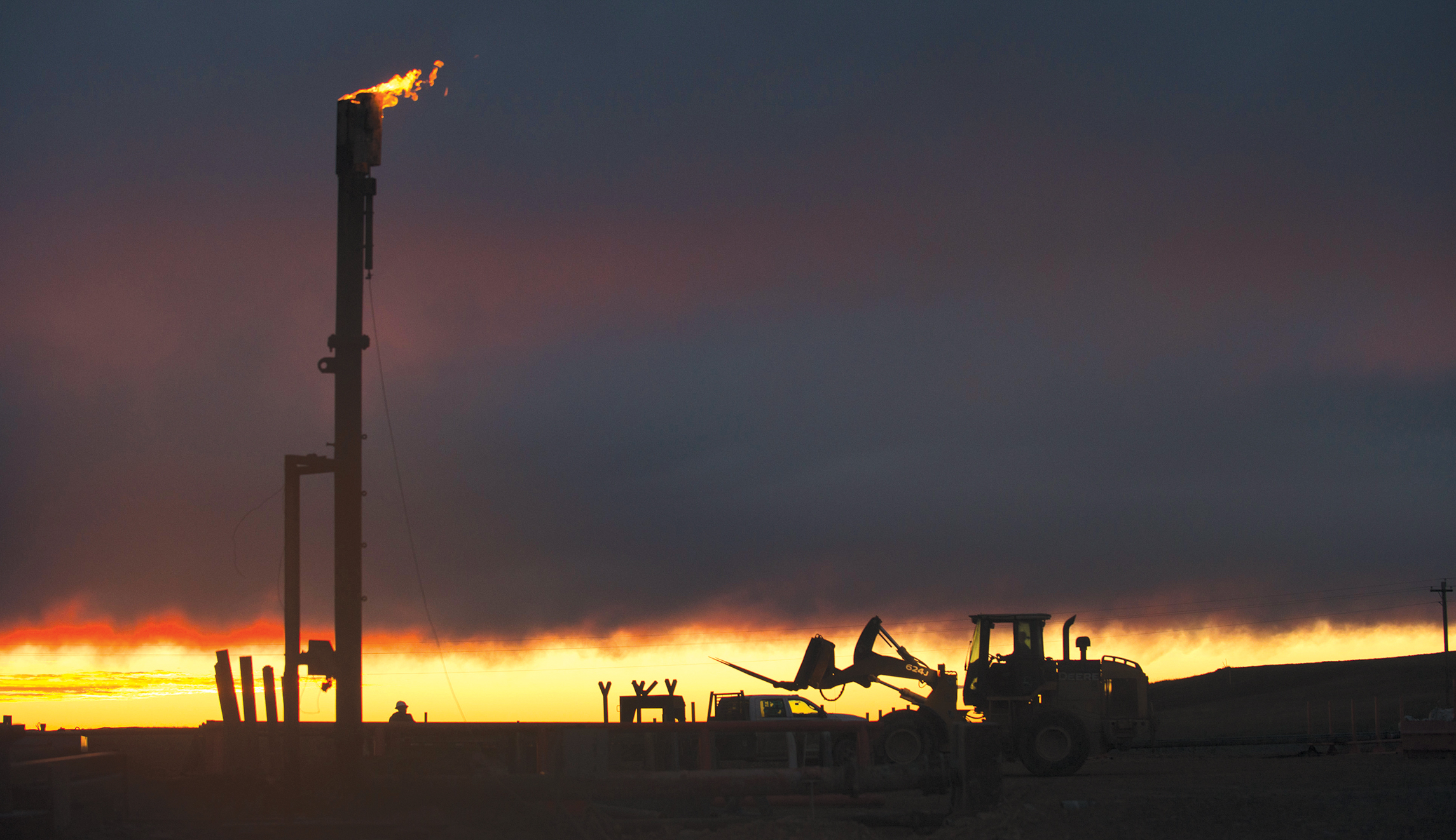 Smash, Champ, Huck, Porkchop