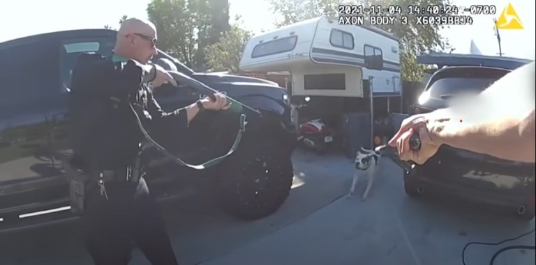 body-camera footage of non-lethal shooting of dog