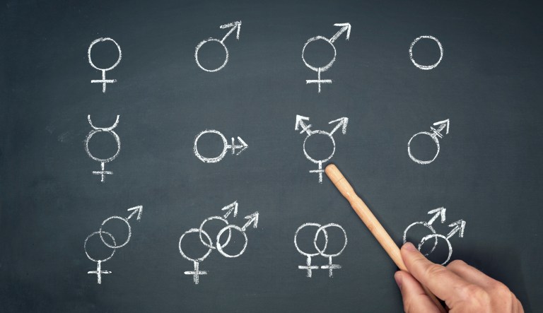 Where does language vandalism stop?