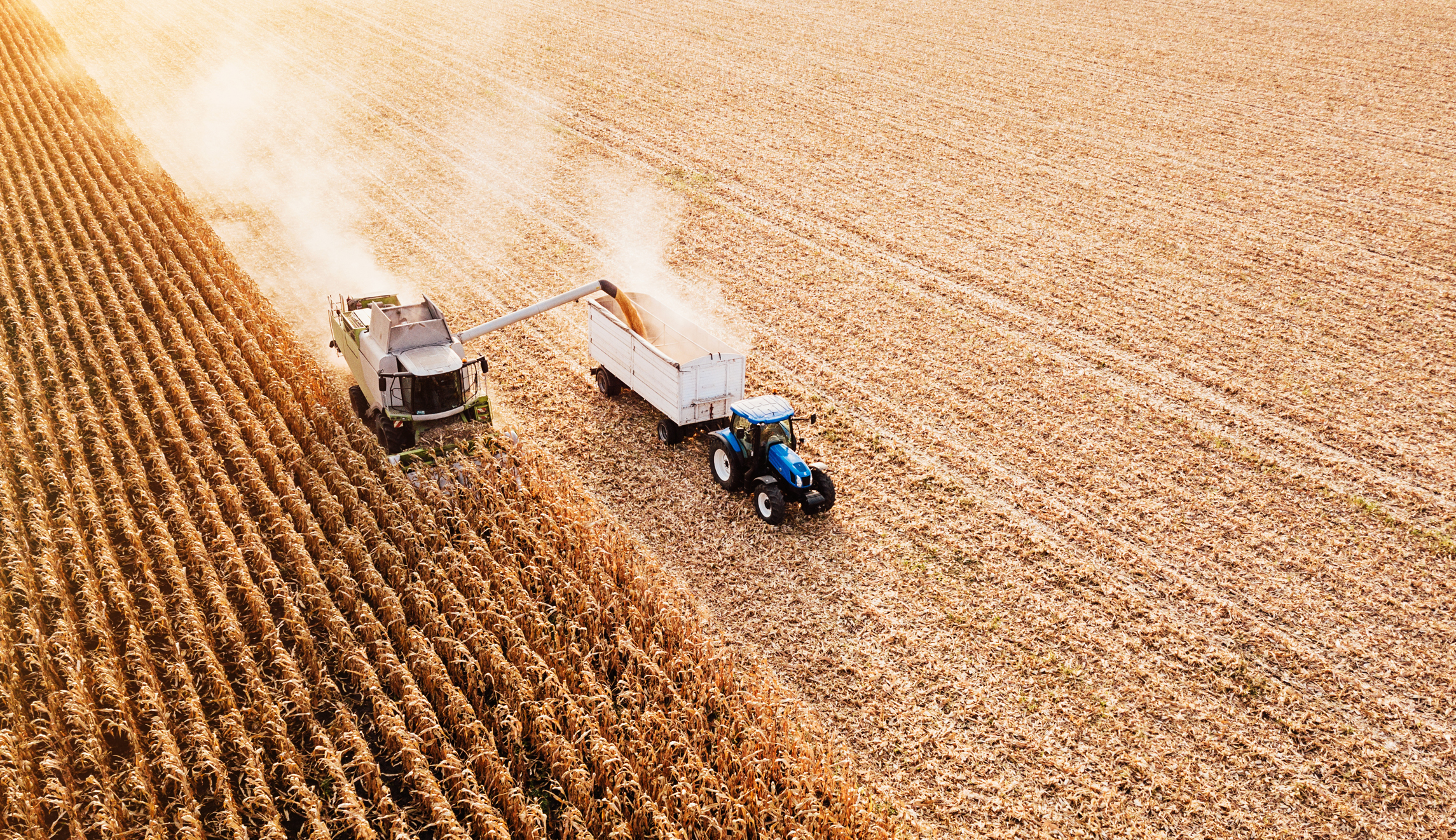 A place that almost happened