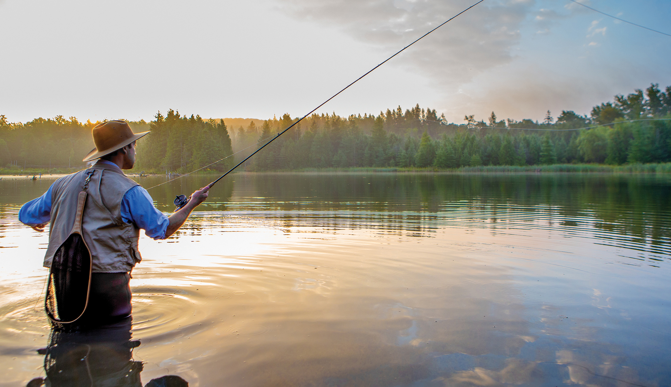 I believe it’s a fly