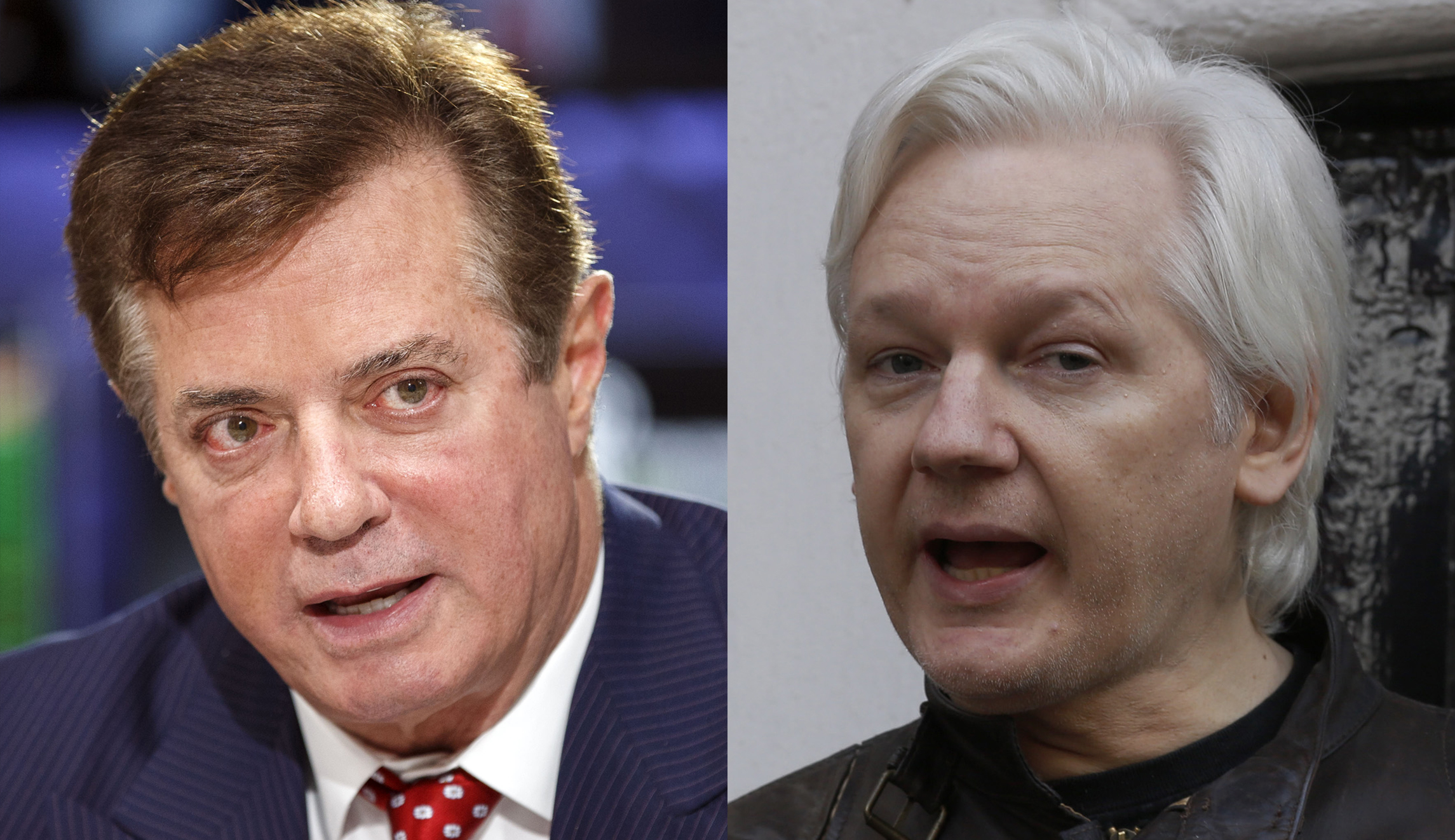 Paul Manafort secretly met Julian Assange of WikiLeaks in 2013, 2015, and 2016: Report