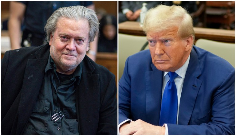 Steve Bannon (left), Donald Trump (right)
