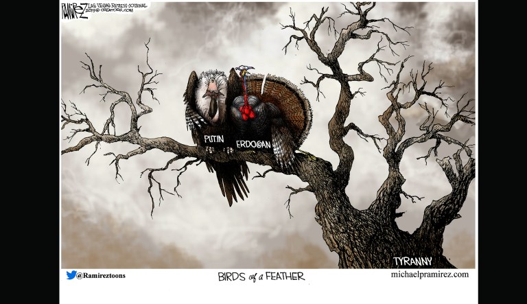 Editorial cartoon: Birds of a feather