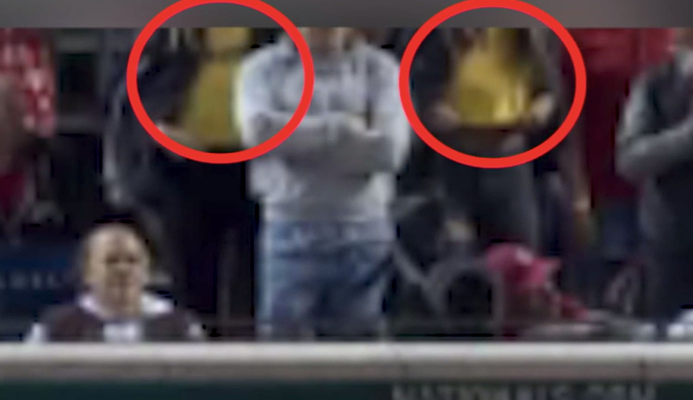 Models banned ‘indefinitely’ from all MLB stadiums after flashing breasts on live TV during World Series