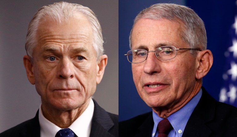 Pictured are Peter Navarro, left, and Anthony Fauci, right.