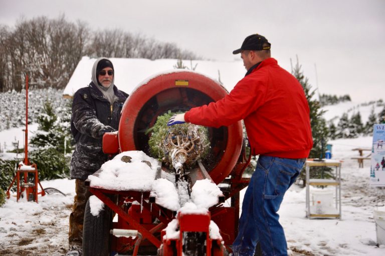 As 2020 kills traditions, Christmas stands strong