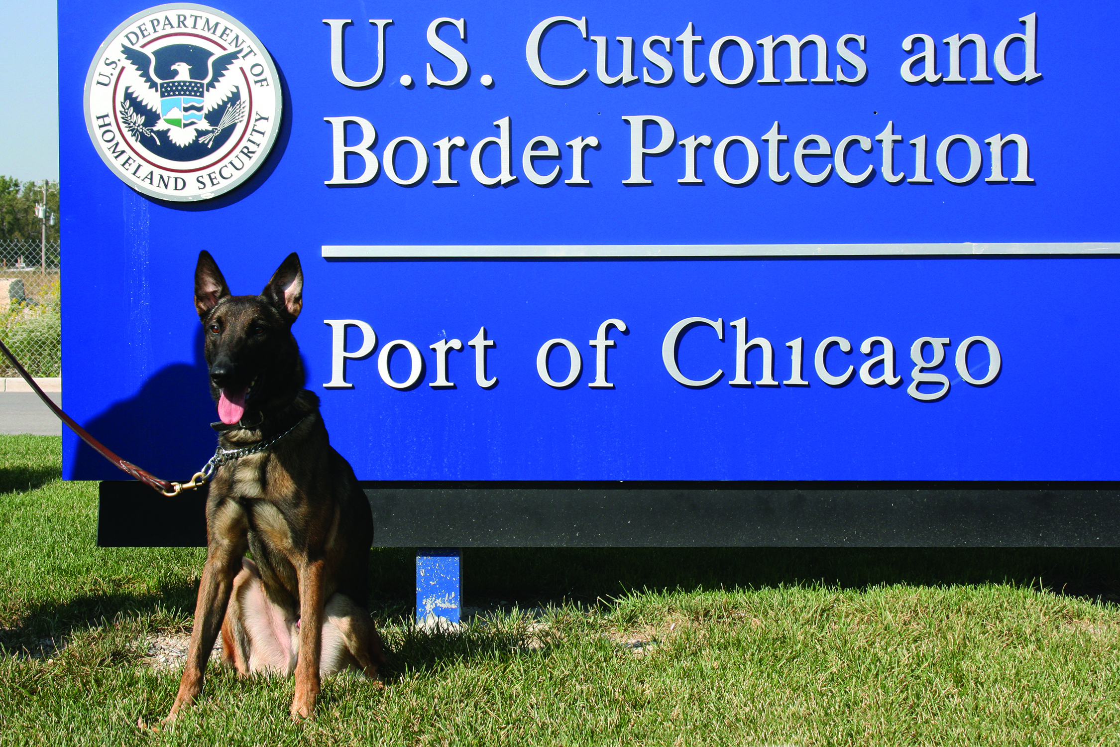 “We might run a K-9 on a bin of mail, but it’s not going to tell us if there’s a fake pair of Nike shoes or if there’s a firearm. There’s some limitation,” said Chicago Area Port Director Matthew Davies. “Our hope is that by employing a number of layers, we’re able to identify as much as we can and stop it, interdict it at the border before it comes into the country.”