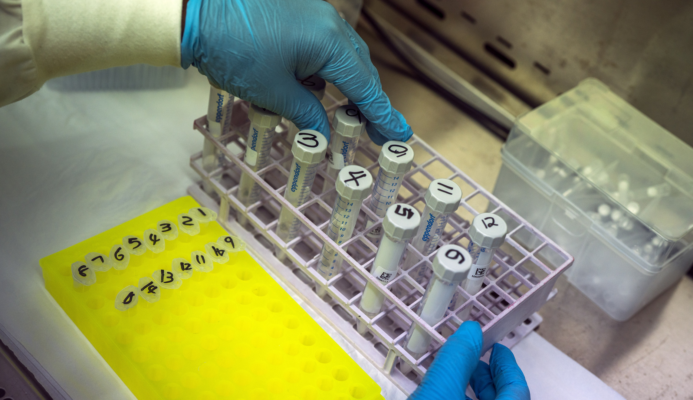 'Empty seats protest': South African restaurants challenge lockdown restrictions