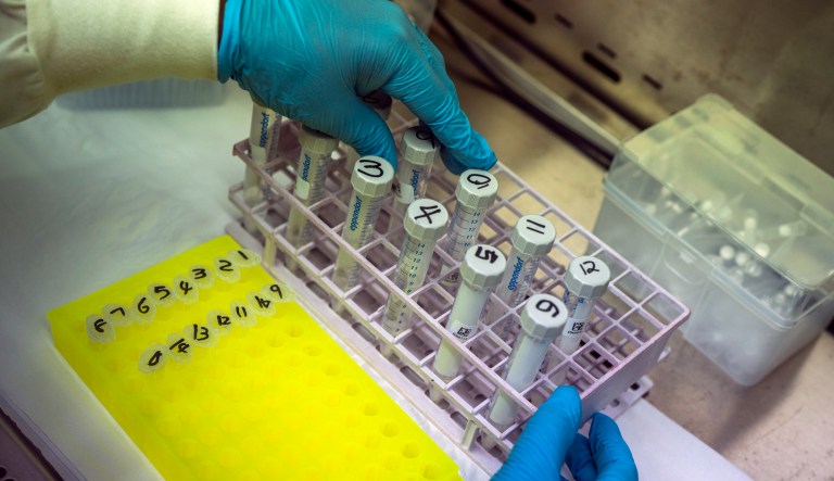 'Empty seats protest': South African restaurants challenge lockdown restrictions