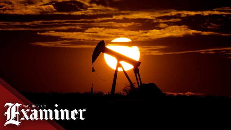 OPEC+ announces oil production boost following international pressure