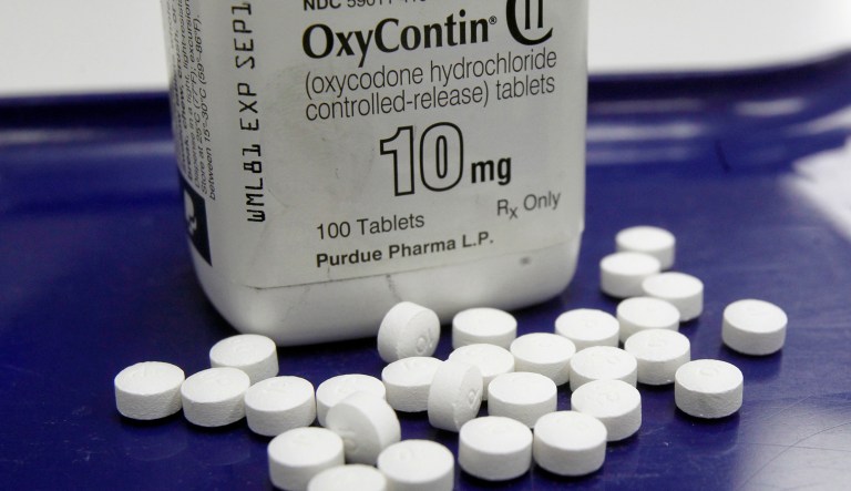 FILE - This Feb. 19, 2013, file photo, shows OxyContin pills arranged for a photo at a pharmacy in Montpelier, Vt. With an overdose epidemic worsening, nearly one-third of Medicare beneficiaries received at least one prescription for commonly abused opioids such as OxyContin and fentanyl in 2015.